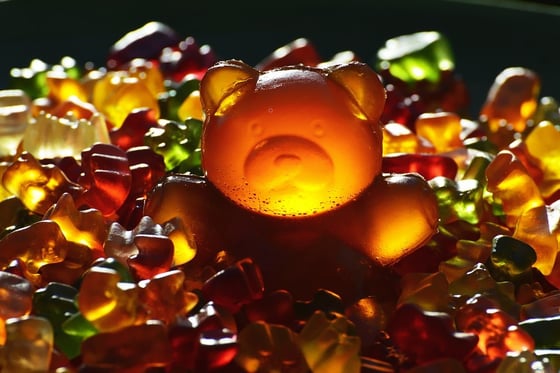 A giant gummy bear in a pile of smaller gummy bears ready for bottling