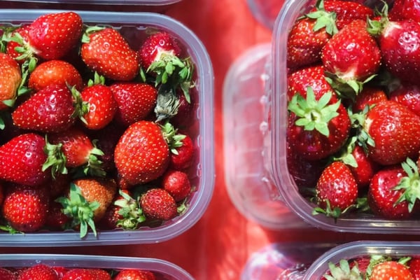 Several plastic food containers full of ripe strawberries